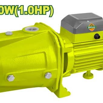 Ինքնաքաշող պոմպ 750 Վտ DTWPJA03