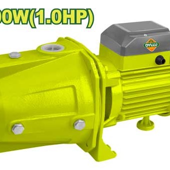 Ինքնաքաշող պոմպ 1100 Վտ DTWPJA04