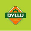 Dyllu