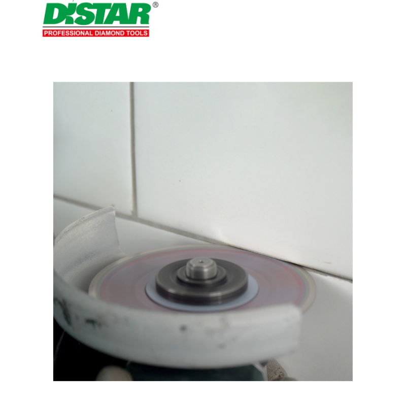 Սկավառակ ալմաստե սալիկների 100 մմ Distar Cleaner 11115421006 Սկավառակ ալմաստե սալիկների 100 մմ Distar Cleaner 11115421006