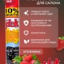 Plak Полироль для пластика автомобиля 750мл клубника