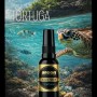 Ароматизатор для автомобиля Areon tortuga 30ml